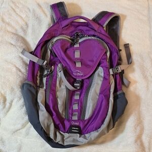LL Bean Quad Backpack Purple, Hold A Laptop (15.6), Several Zippered Pockets EUC